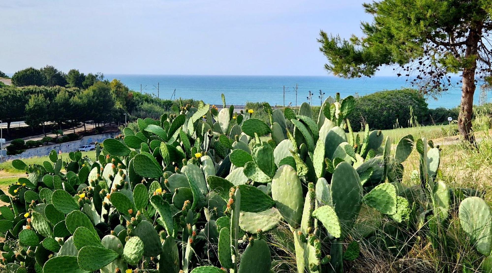 הוילה טרמולי Via Del Mare מראה חיצוני תמונה